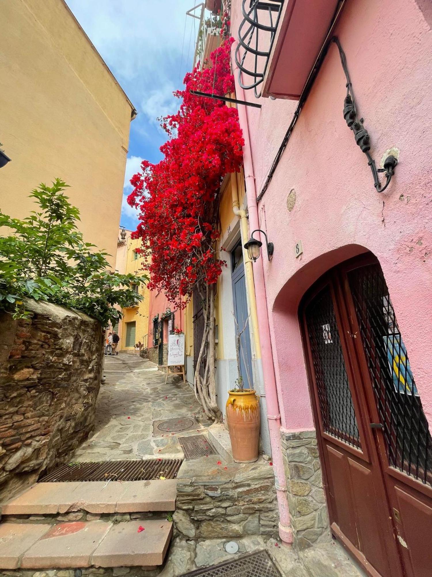 4Demo2 Appartement Vue Mer Collioure Zewnętrze zdjęcie